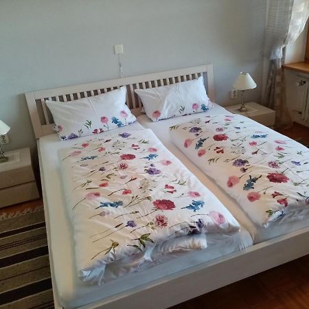 Schneiderhof Appartement Steinbach  Buitenkant foto